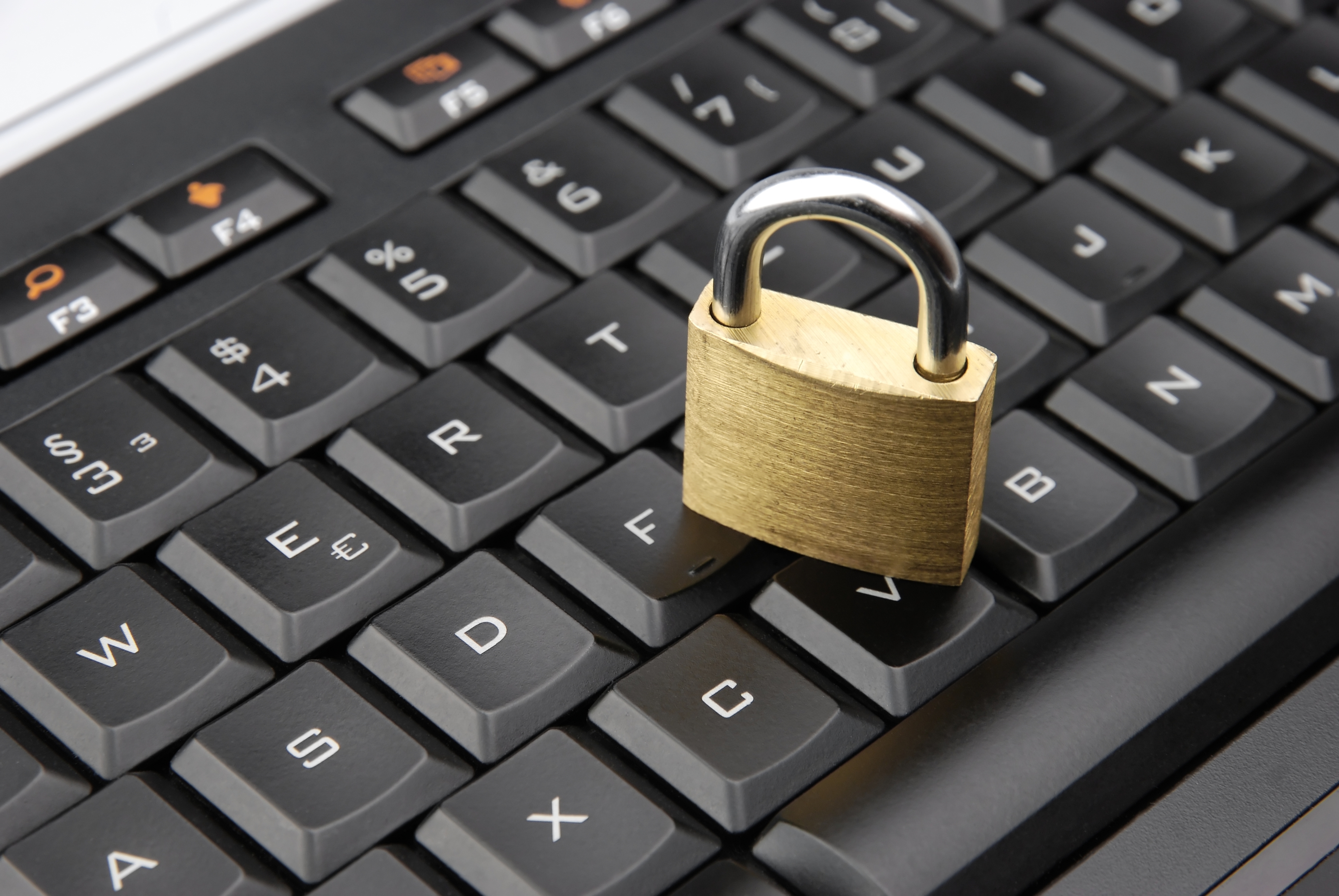 shutterstock_90267985